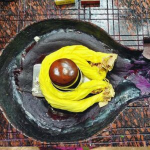 baba basukinath abhishek