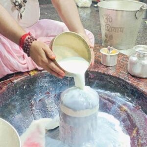 baba basukinath dudh abhishek