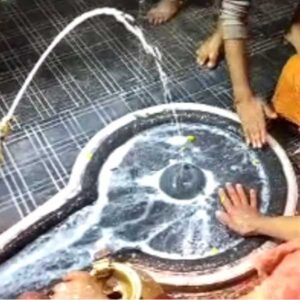 import placeholder for 3800