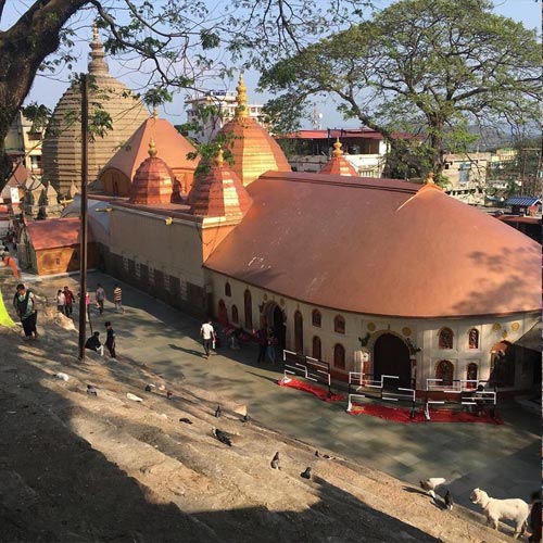 maa kamakhya devi sacred chadhawa